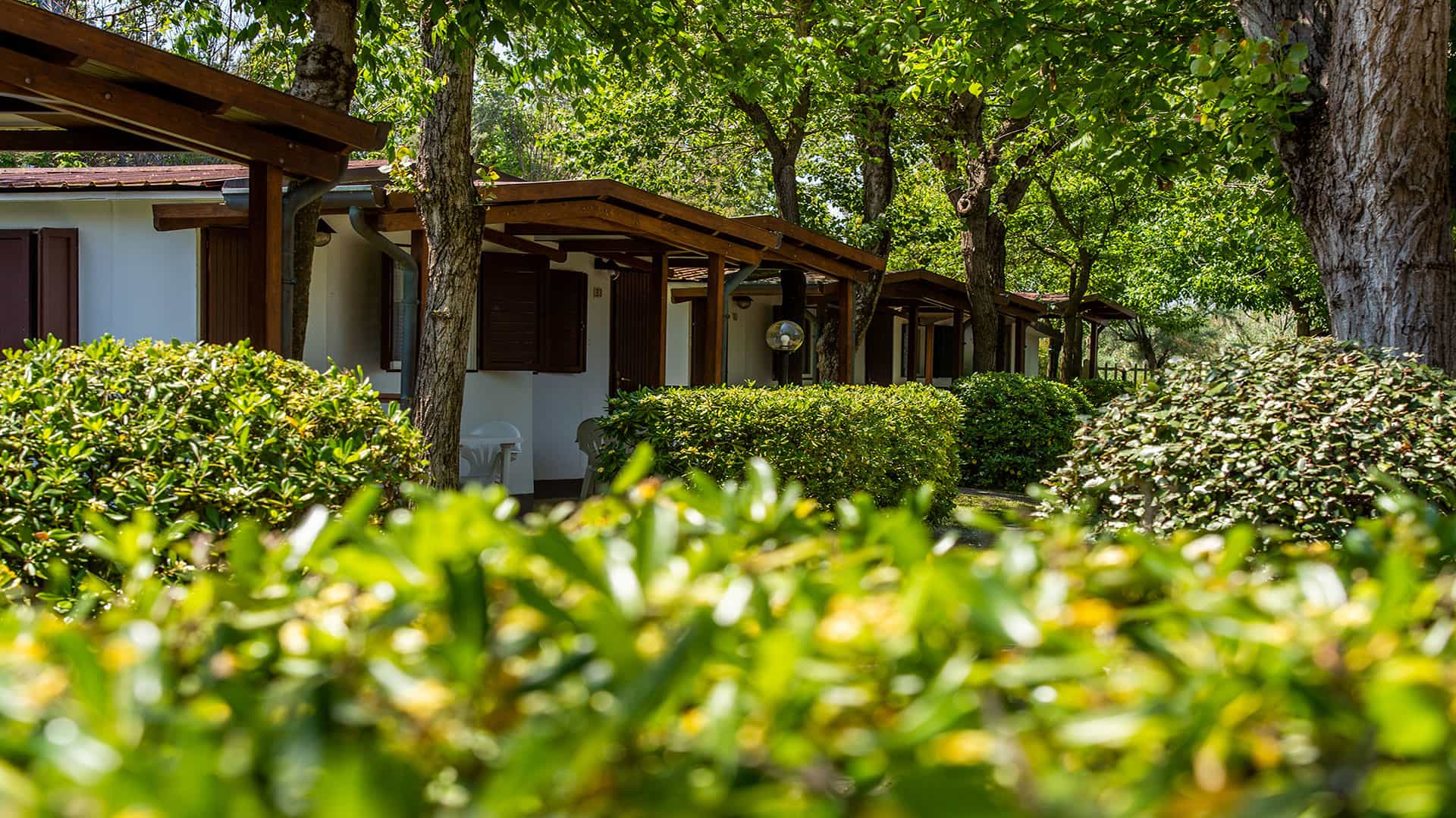 Camping la Conghiglia